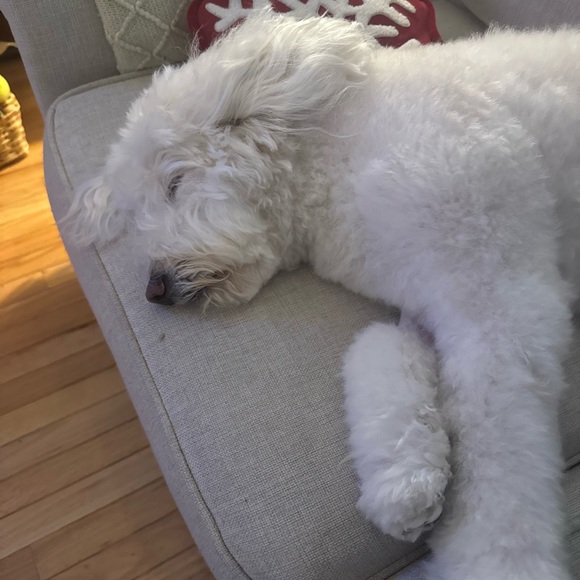 Clearing out the closet - Picture 1 of 1